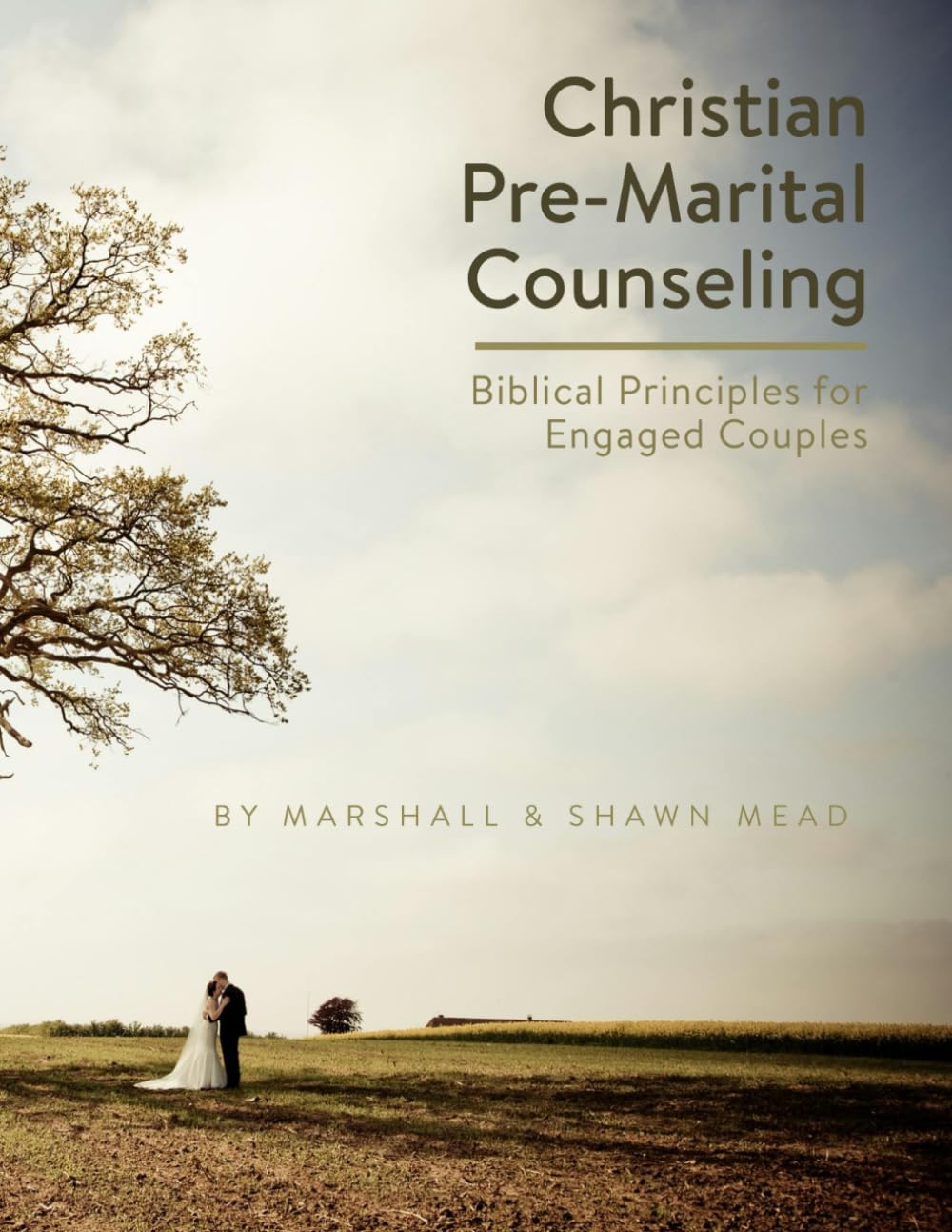 Christian Pre-Marital Counseling: Biblical Principles for Engaged Couples