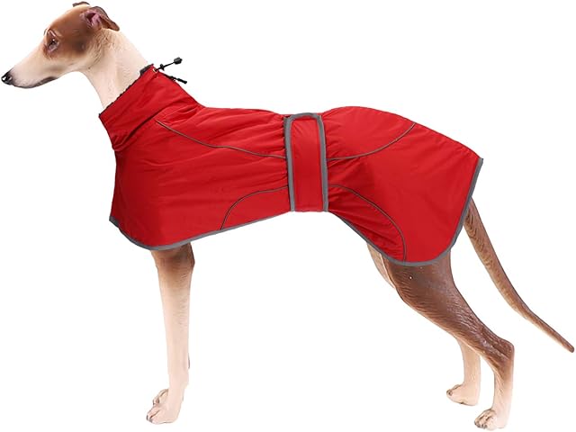 Greyhound Winter Coat, Whippet Coat with Padded Fleece Lining, Water Resistant Dog Jacket with Adjustable Bands and Reflective - Red - Medium