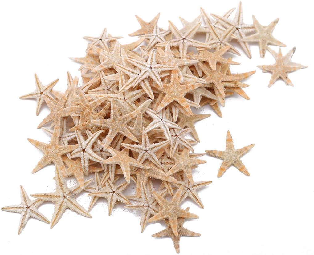 KISSFRIDAY 100pcs Mini Starfish Craft Decoration Natural Sea Stars DIY Beach Cottage Wedding Decor Gifts