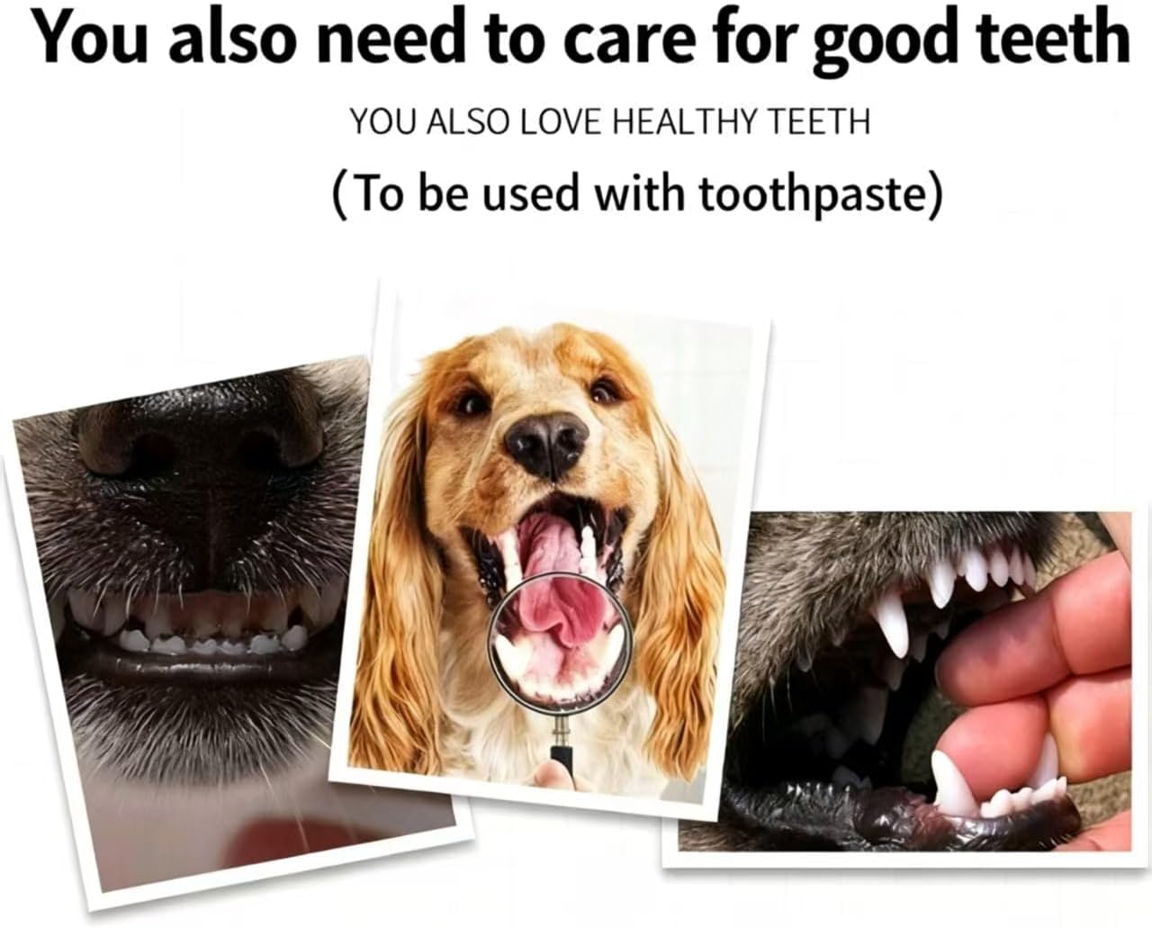 10-Pack Dual-Ended Pet Toothbrush Set – Soft Bristle Tooth Brushes for Small to Large Dogs, Cats & Most Pets – Dental Care Kit for Tartar Removal & Fresh Breath.