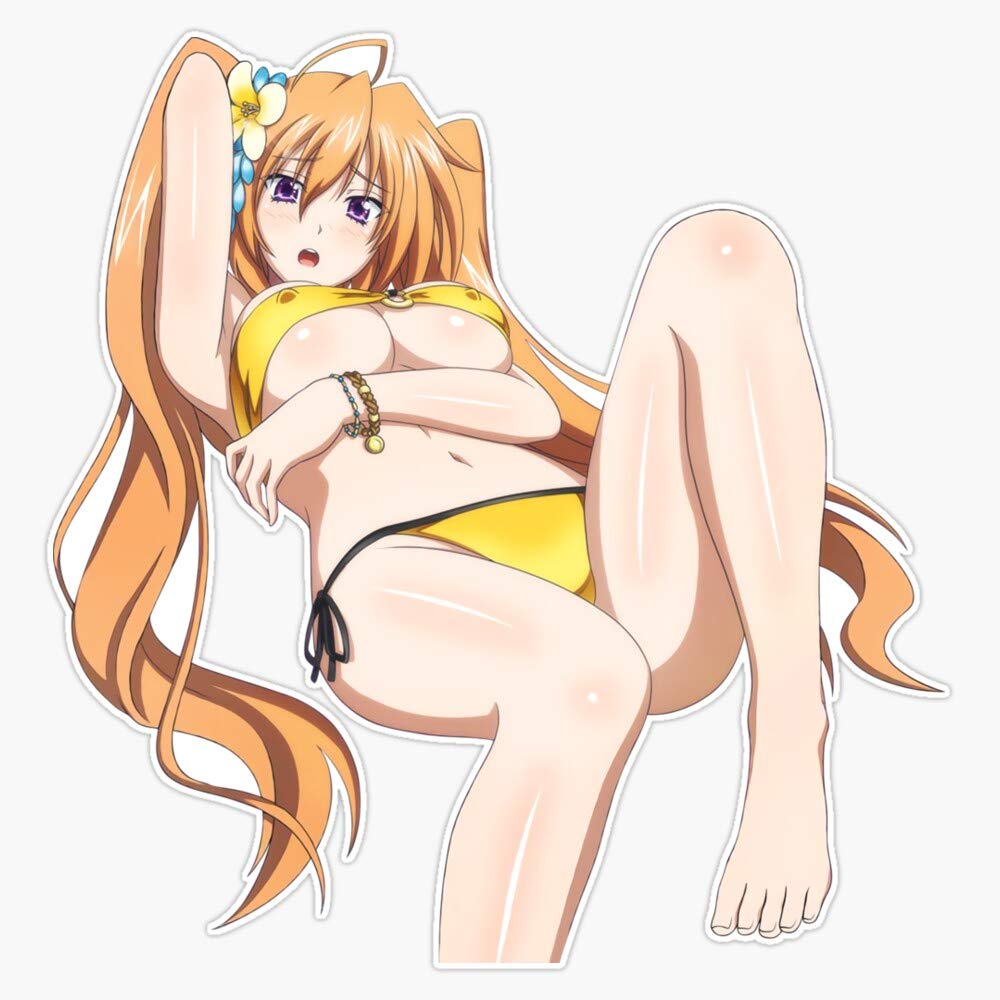 Summer Irina - Highschool DxD Vinyl Decal Bumper Sticker 5"