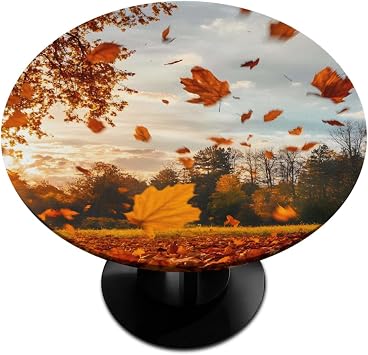 Round Tablecloth with Elastic Edge Fallen Leaves Fall Forest Fitted Circle Table Cover wipeable Round Table Cloth for Indoor Outdoor Patio Dining Kitchen Decor for 40-44inch Tables