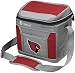 NFL Soft-Sided Insulated Cooler Bag, 9-Can Capacity with Ice