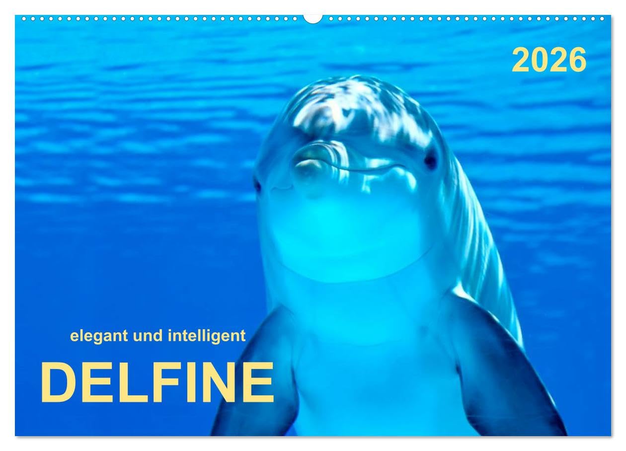 Delfine - elegant und intelligent (Wandkalender 2026 DIN A2 quer), CALVENDO Monatskalender: Delphine - kühn, schön und schnell gleiten sie pfeilschnell durch das Wasser. (CALVENDO Tiere)