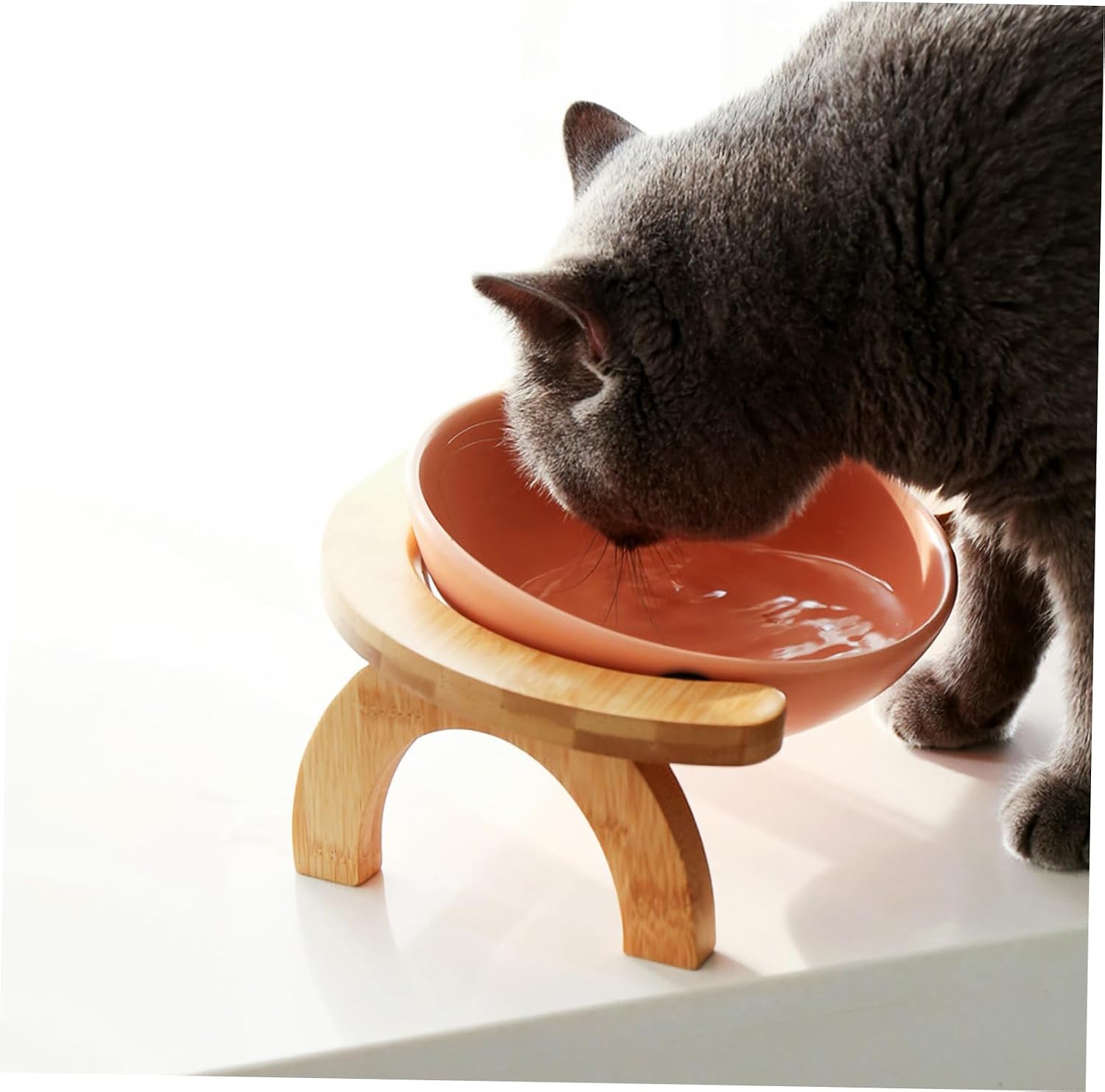 Milisten 1Set Pet Bowl with Wooden Stand Skid Elevated Cat Food and Water Bowls Tilted Design Durable Easy Cats and Pets