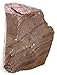 1510 Gram 3 lB 5.3 Oz Willow Creek Desert Owyhee Picture Jasper Cab Rough PJS4