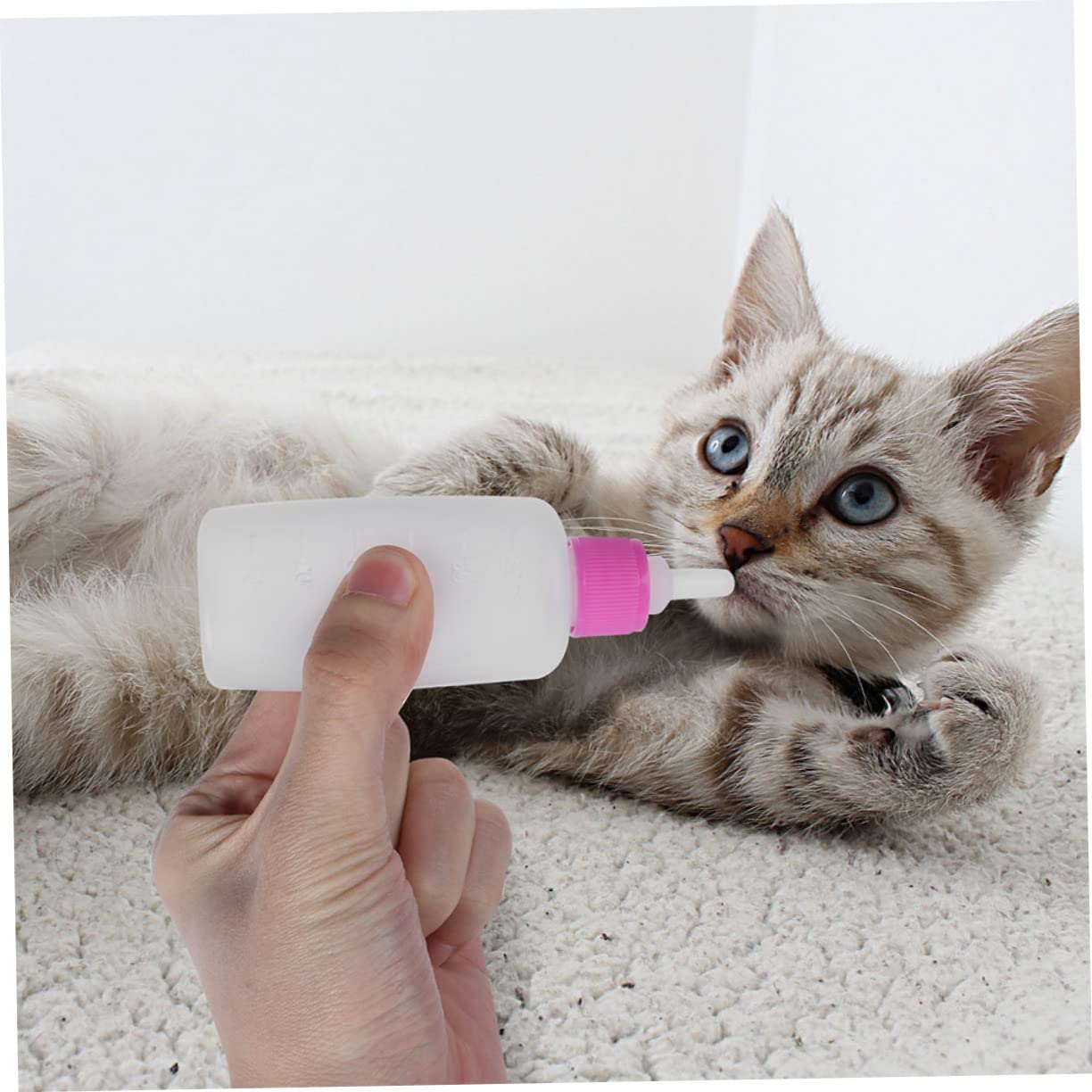 FOMIYES 10 Sets Cat Milk Bottle Feeder Kitten Nipple Milk Feeder for Puppies Pet Feeding Bottle Kit