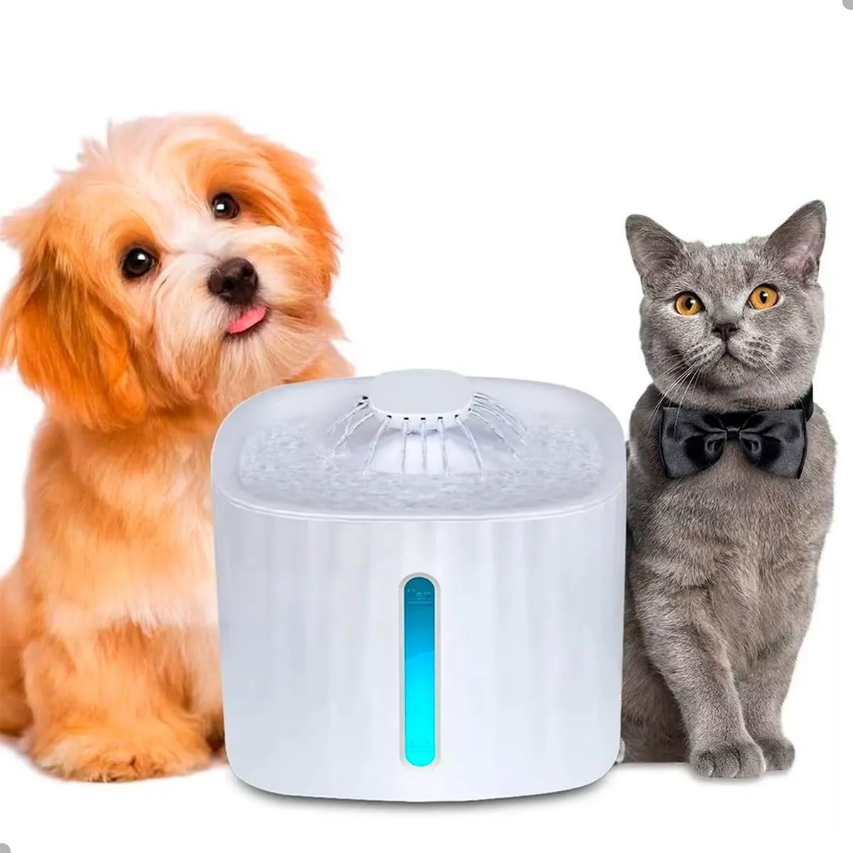 Bebedouros automáticos para cães: comparação de modelos