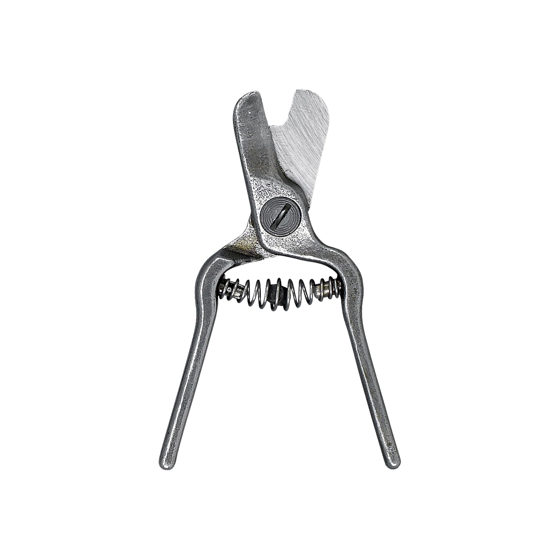 Corona AG 5010 Lemon Shear