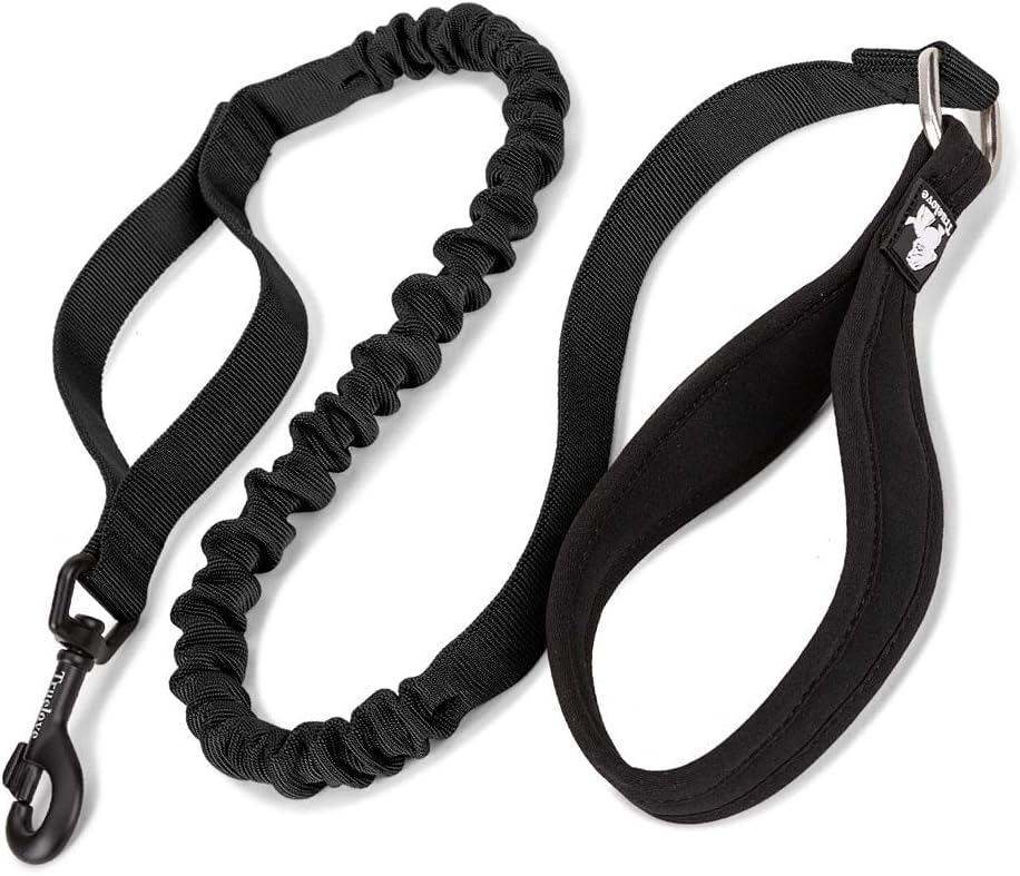TRUE LOVE Elastic Bungee Dog Leash Shock Absorbing No Pull Nylon Training Lead Soft Handle with Extra Traffic Control Handle for Small Medium Large Dogs TLL2281(Purple,S)