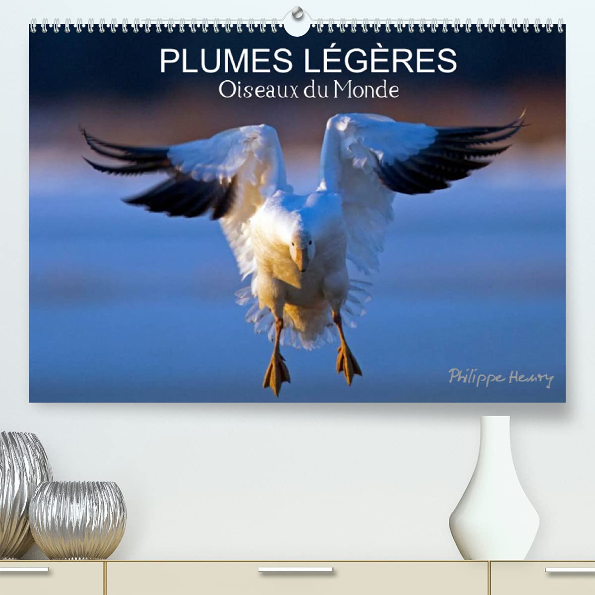PLUMES LÉGÈRES. Oiseaux du Monde (Premium, hochwertiger DIN A2 Wandkalender 2022, Kunstdruck in Hochglanz): Treize photos d'oiseaux en action, ... Henry (Calendrier mensuel, 14 Pages )