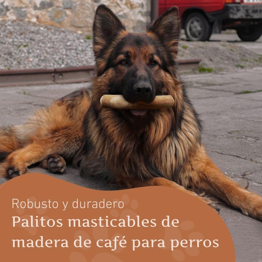 Wildfang® Palo de Cafe para Perro, XL Perros de más de 45 kg | Alternativa a los Huesos Juguetes para Cachorros Masticar masticable Natural para Perros, 1 unidad Paquete de 3