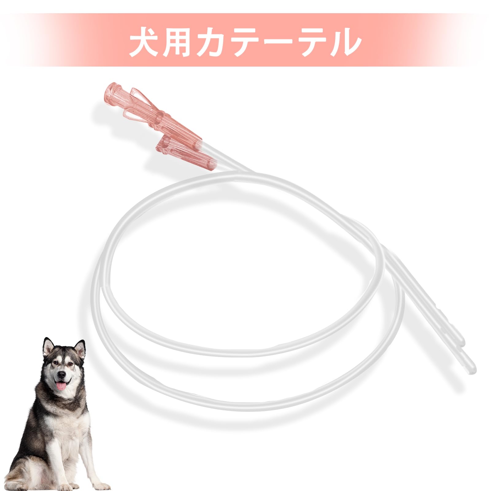 10 Stück Hundekatheter mit Harnröhren-Ausbaggersonde, seitliche Öffnung, Verstopfung, Veterinärinstrument (6Fr - 500 mm)