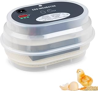 HBlife Digital Egg Incubator for Hatching 9-12 Chicken, Quail and Duck Eggs, with Fully Automatic Egg Turning and Temperature Display, Hatcher for Turkeys, Birds, Parrots and Poultry
