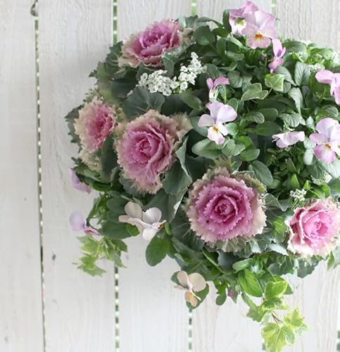  t{^̃nMOoXPbg񂹐A[-DX] MTCYtO rI  ߓ ߏ ߓ O   m  n{^ ɐ ԃAWg [X _  ~ oXPbg  t[Mt