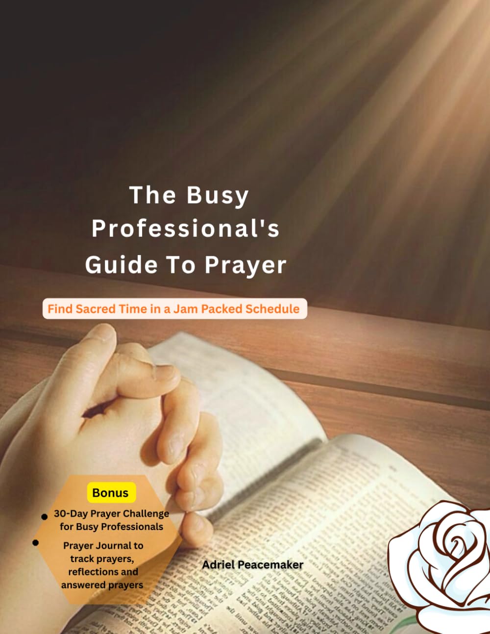 The Busy Professionals guide to prayer: Find Sacred Time in a jam Packed Schedule