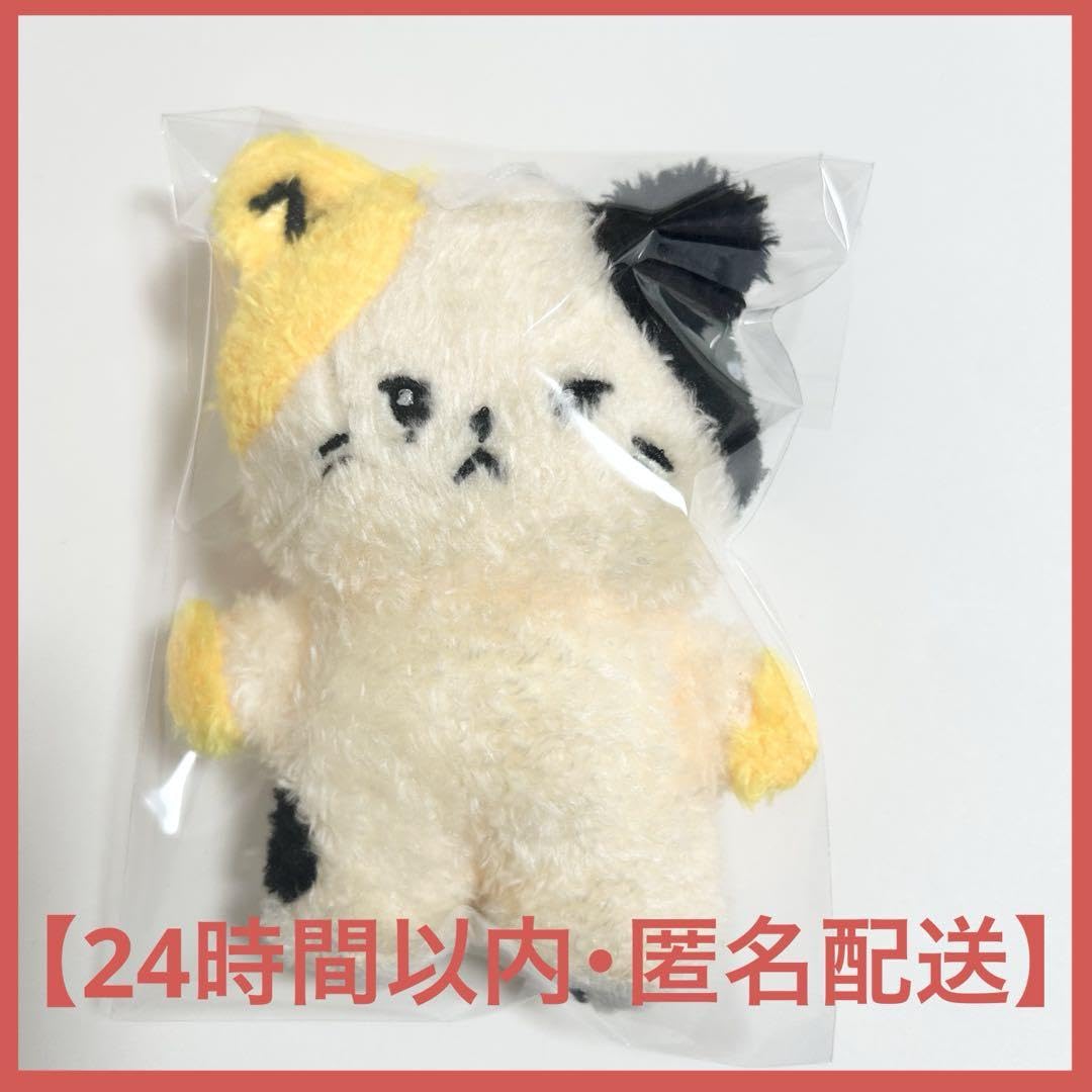 Amazon.co.jp: ZB1 ゼベワン zeroni ゼロ二 リッキー リ二二