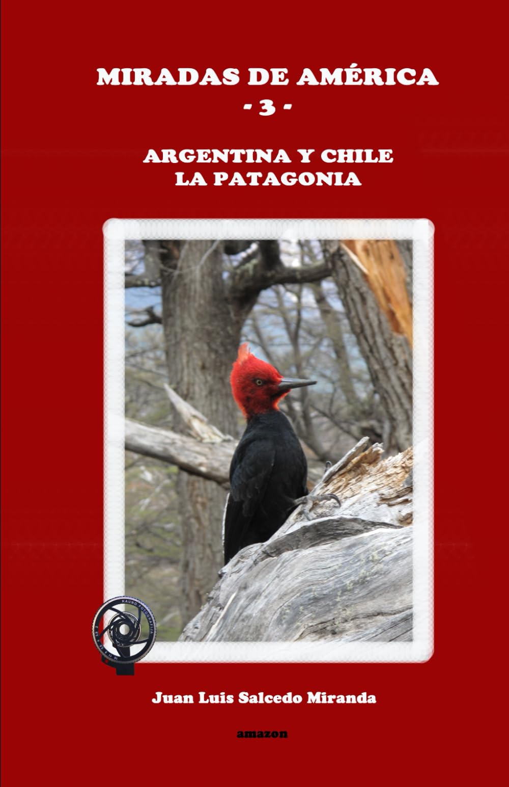 Miradas de América -3- Argentina y Chile. La Patagonia