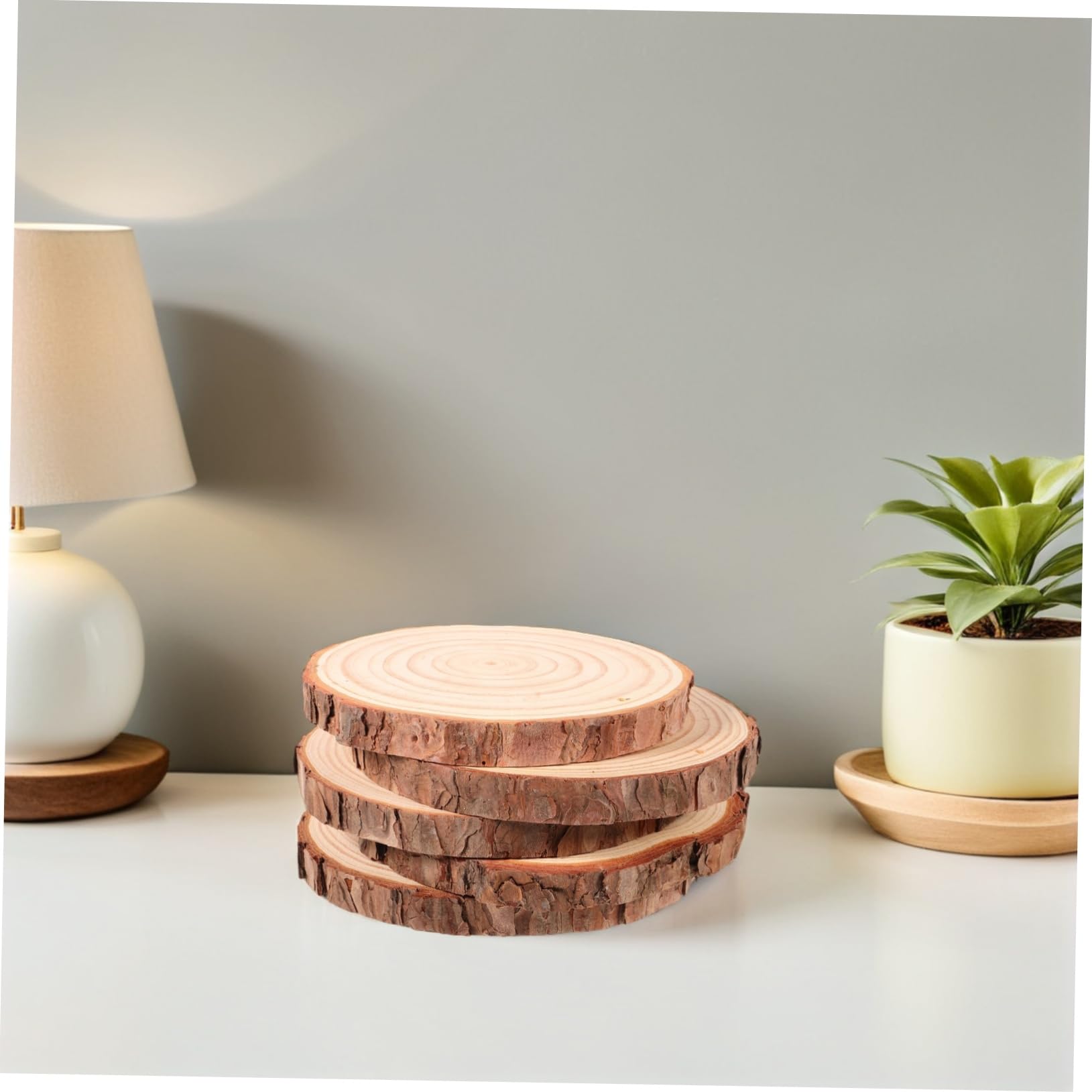 5piezas Decoración De Madera Rodajas De Madera Sin Terminar Discos Redondos De Para Manualidades Para Pintar Posavasos Decoración Rústica Hogar y Accesorios De Fotografía