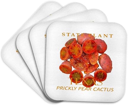 3dRose Texas Territory Plant Prickly Pear Cactus Coasters