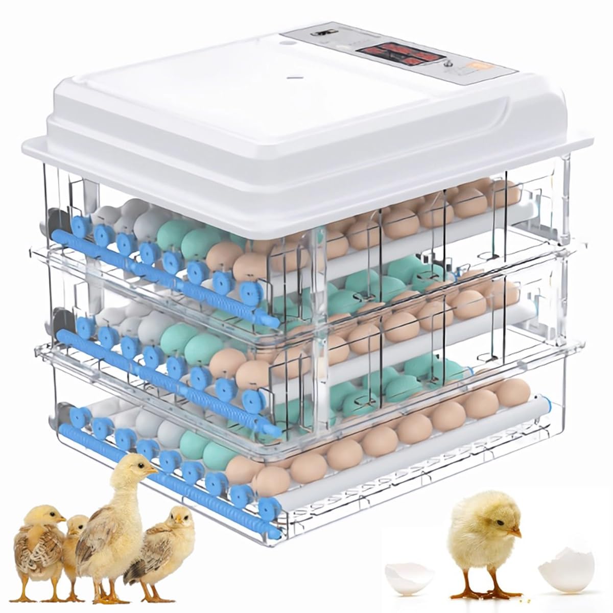 Incubateur d'œufs automatique de 48 à 176 œufs avec contrôle de température pour élevage de volaille
