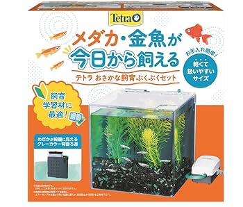 Amazon | テトラ(Tetra) おさかな飼育 ぶくぶくセット SP-17BU