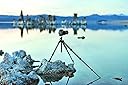 Thumbnail 23