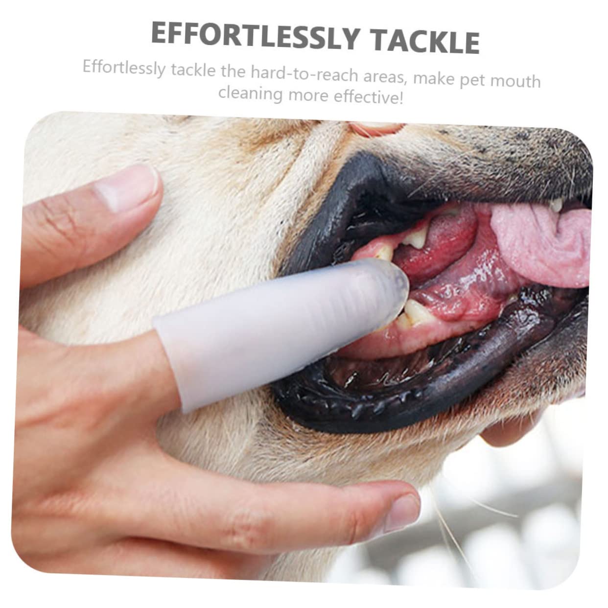 POPETPOP 4piezas Cepillo De Dedo Para Perros De Silicona Transparente Herramienta De Cuidado Para Mascotas Limpieza Efectiva De Dientes y Encías Para Perros y Cachorros