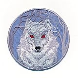 Wolf Raubtier Meute Rudel - ein Jäger