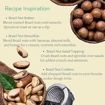 brazil nuts benefits () brazil nuts benefits
