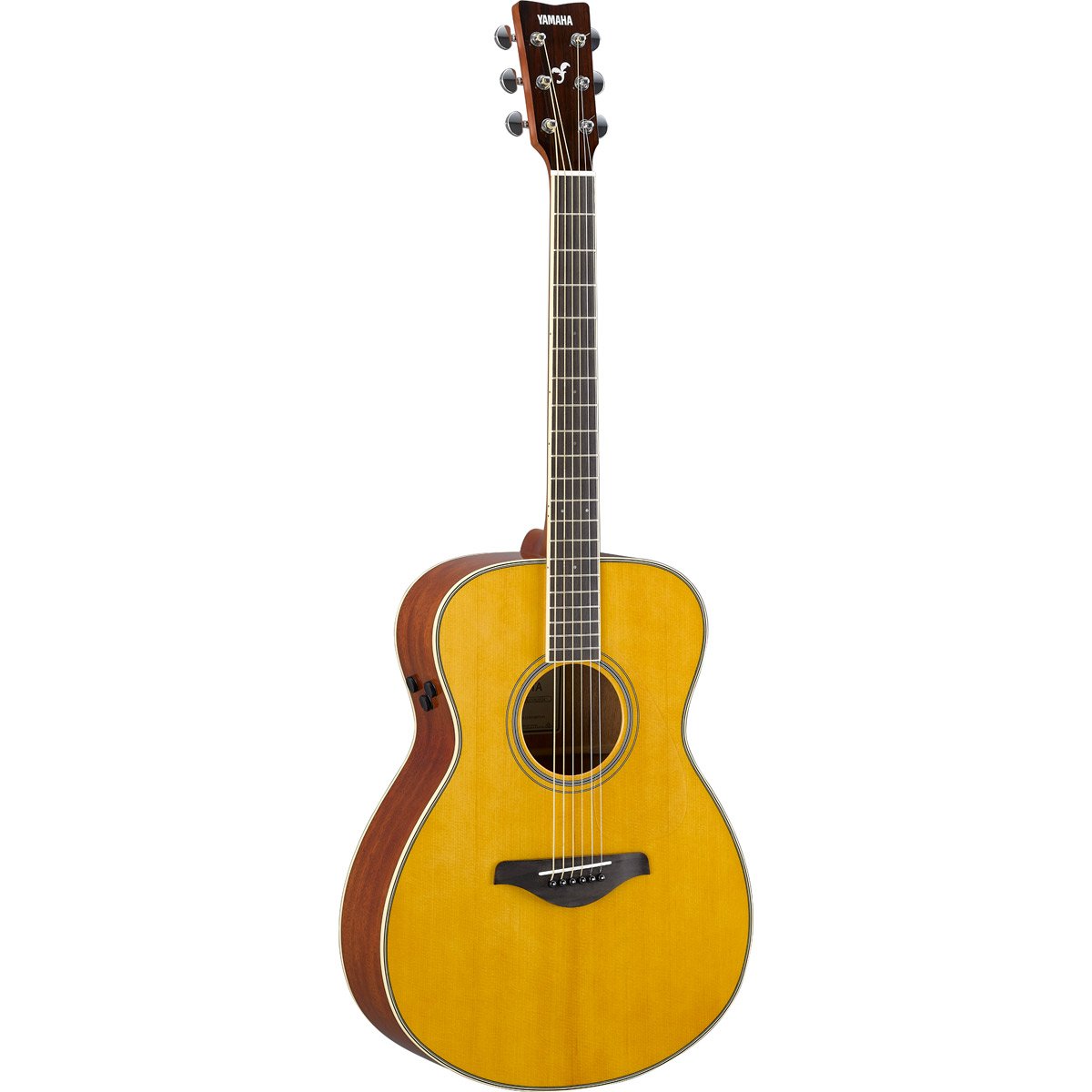 Amazon | YAMAHA Trans Acoustic FS-TA Vintage Tint トランス
