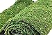 SuperMoss (22430) All Purpose Moss Mat Runners, Instant Green,Fresh Green 18