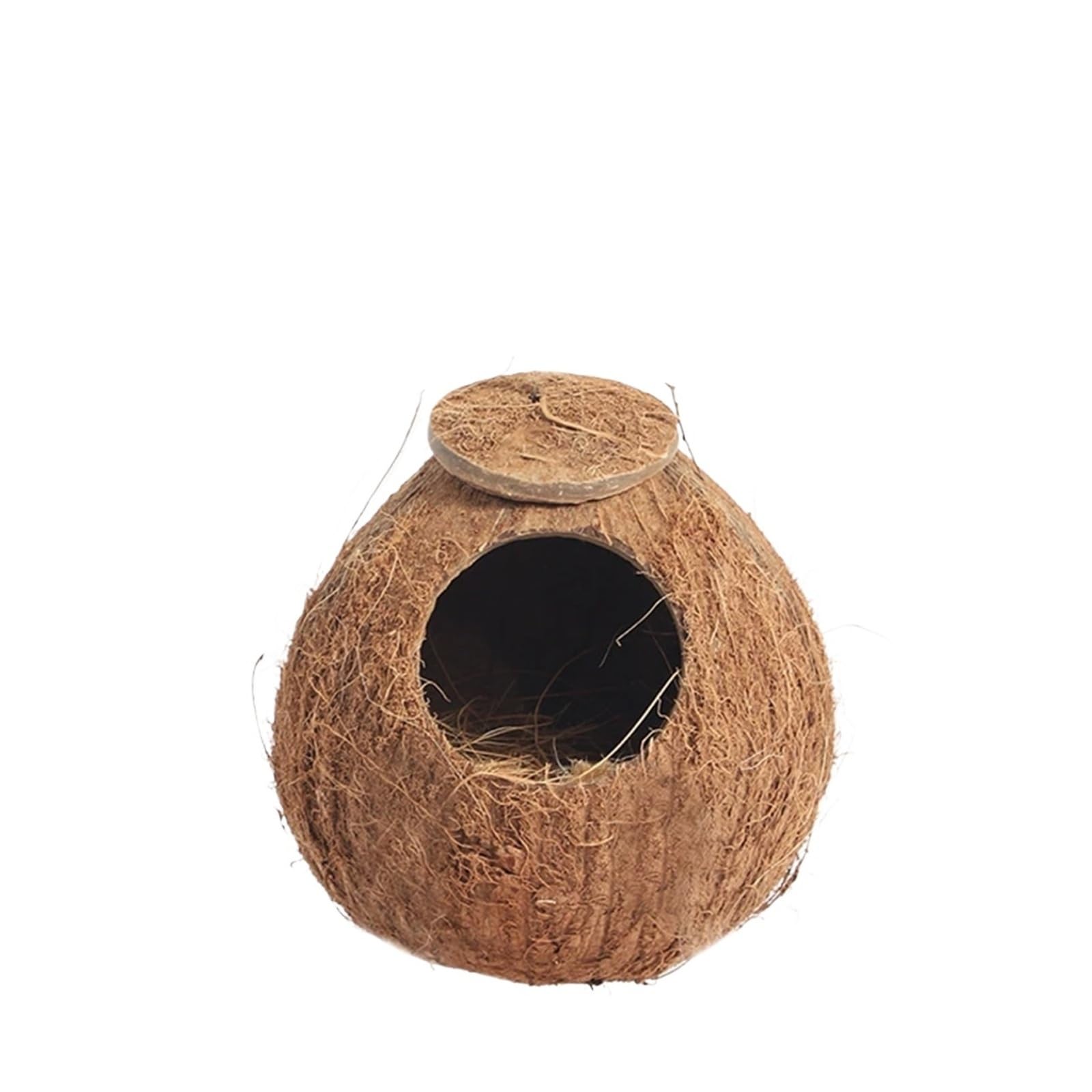 Évitement du bois pour hamster en noix de coco contre le stress