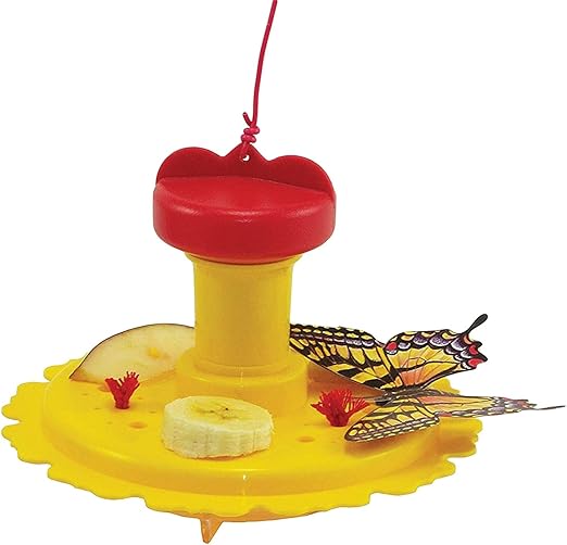 Songbird Essentials SE78215 Butterfly Feeder/Nectar Combo (Set of 1)
