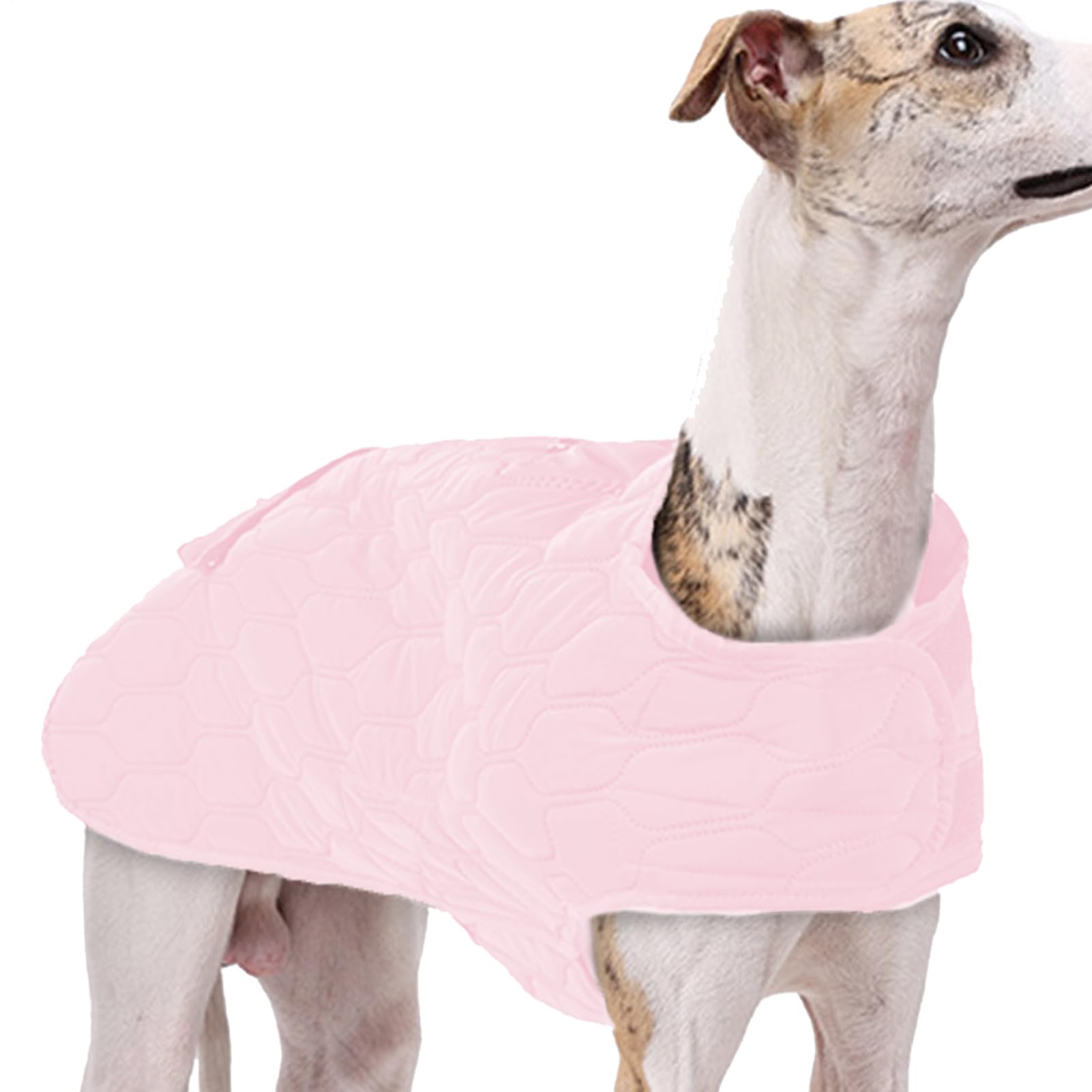 Gilet thermique pour animal de compagnie imperméable et manteau coupe-vent pour chien