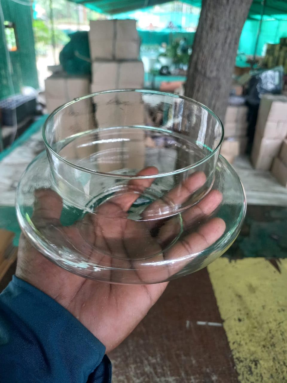 Aradhya Enterprises Pots Glass pots for Lucky Bamboo Bowl transperant Glass Bowl-image-1