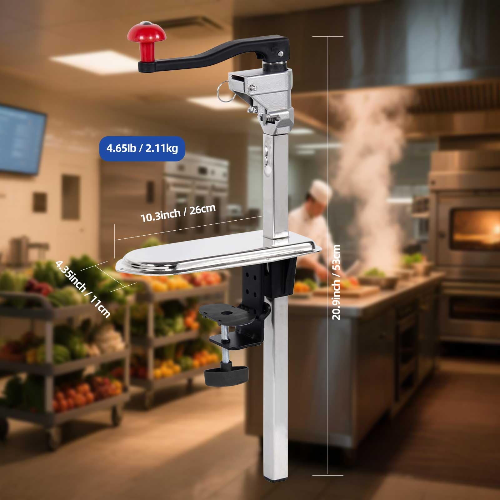 https://m.media-amazon.com/images/I/61DjqMdbb5L.jpg