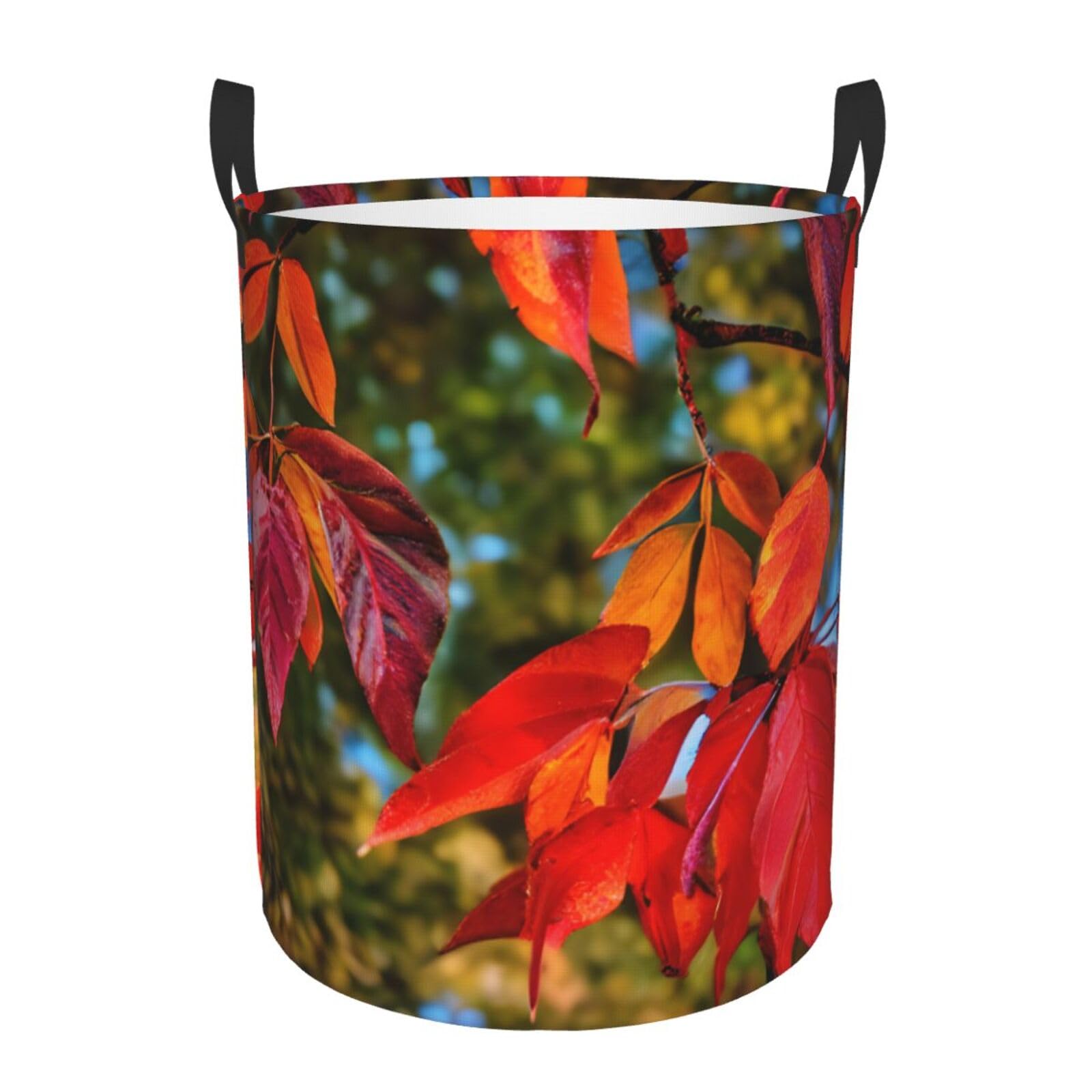 M Collapsible Laundry Hamper Round Fall Red Leaves and Fruits Print Storage