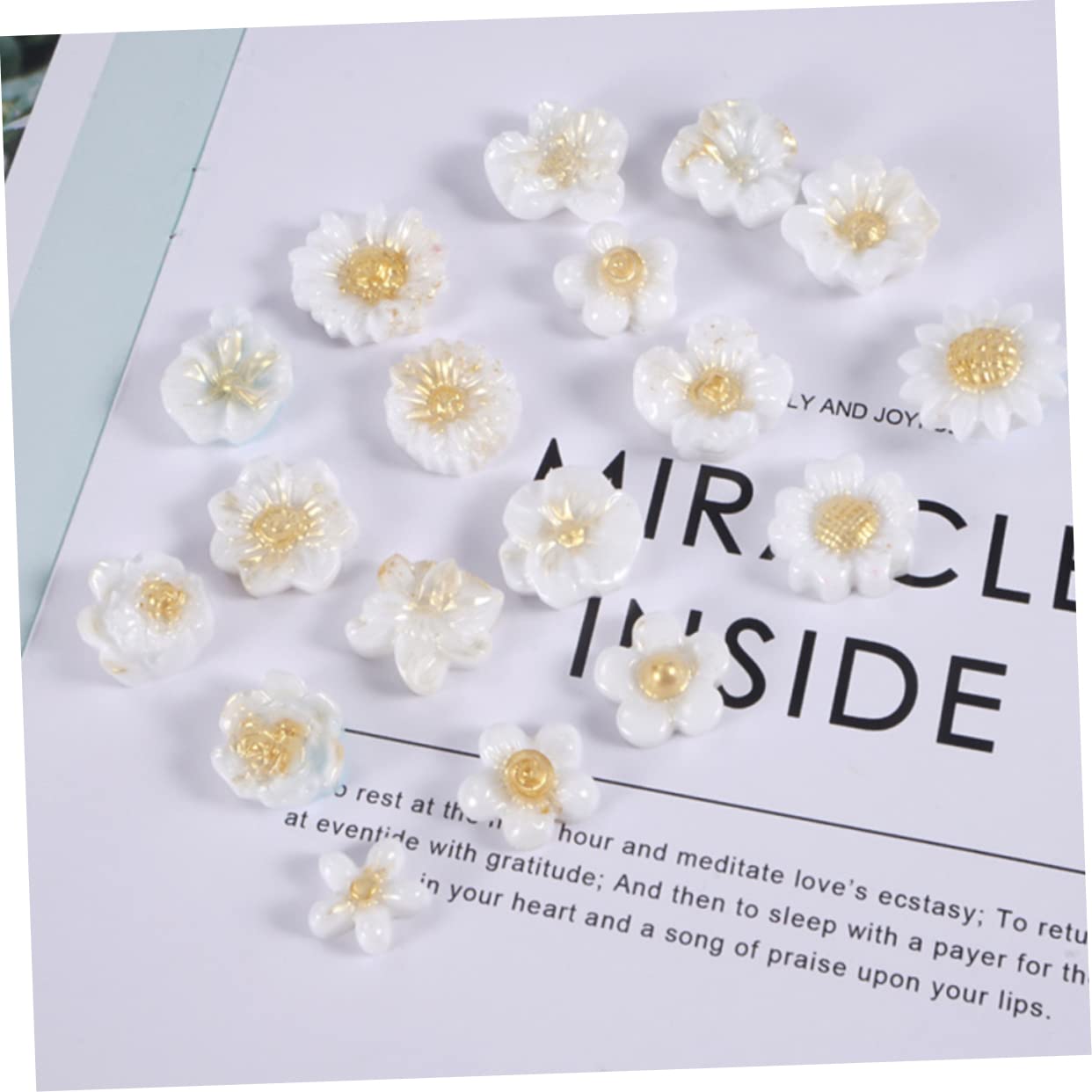 6piezas Moldes De Para Flores Forma De Margarita Perfectos Para Decoraciones Jabones Artesanales y Personalizados