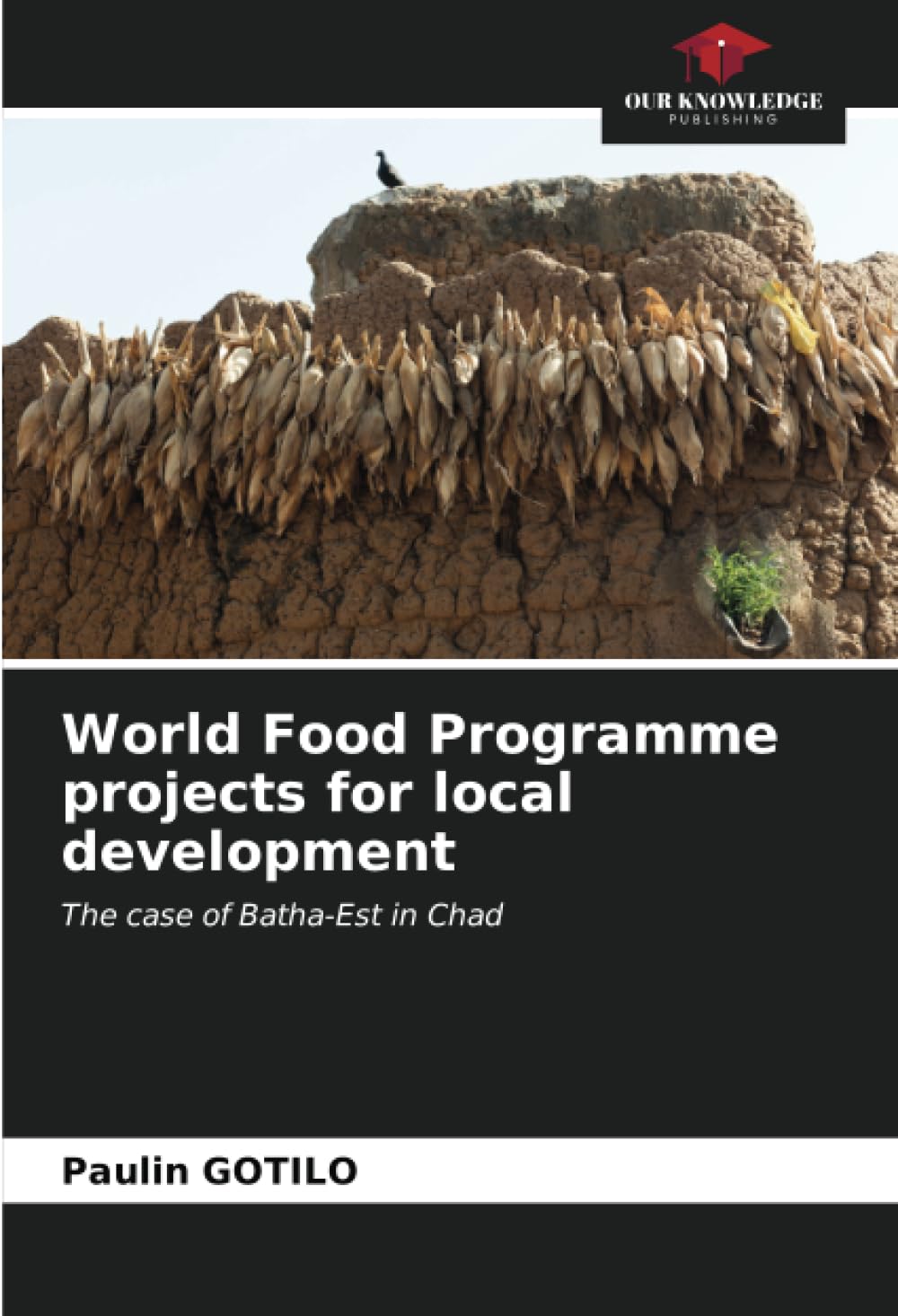 Projets du PAM au Tchad analyse du développement local à Batha-Est