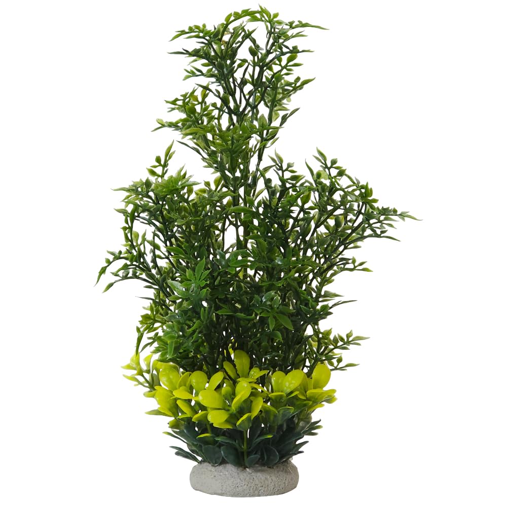 Nobby Aqua Ornaments Helzine Green 7 x 7 x 27.5 cm