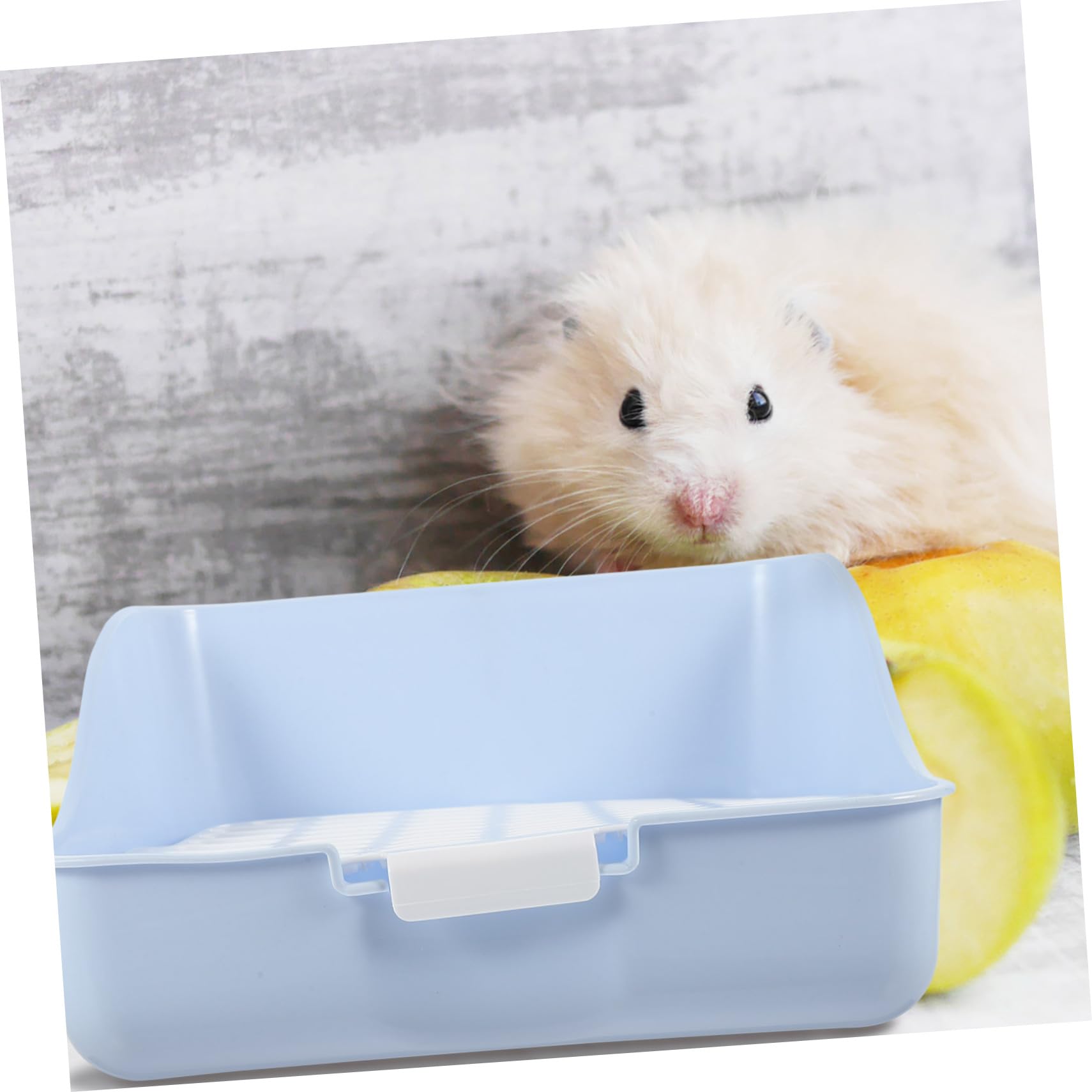 Hemobllo Lettiera per Conigli Vaschetta per Conigli Toilette per Animali Domestici Facile da Pulire Cincillà Porcellini Furetti