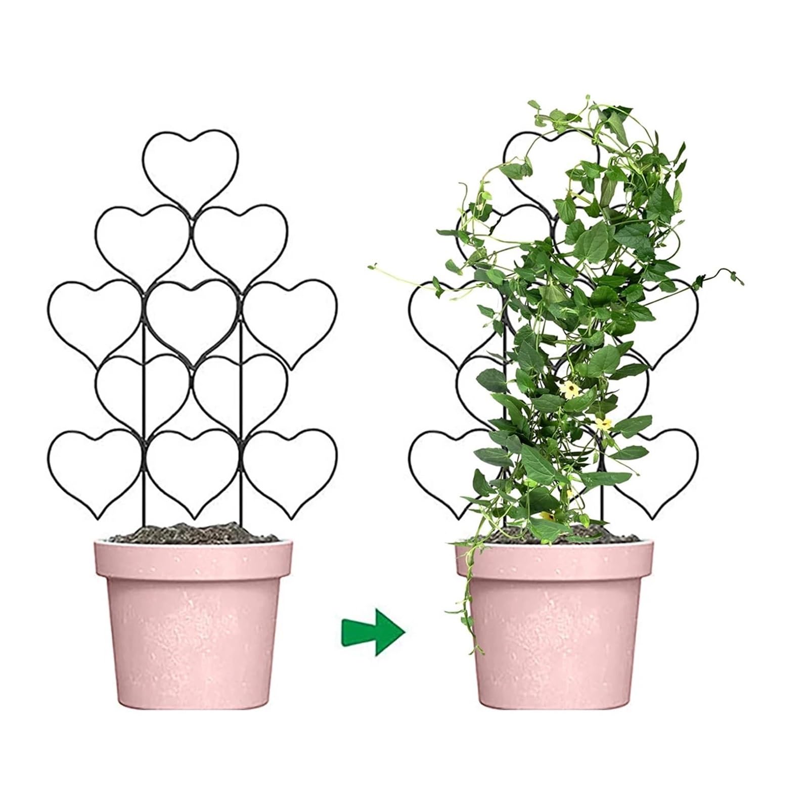 Tuteurs pour Plantes Gadgets de Jardinage for Plantes