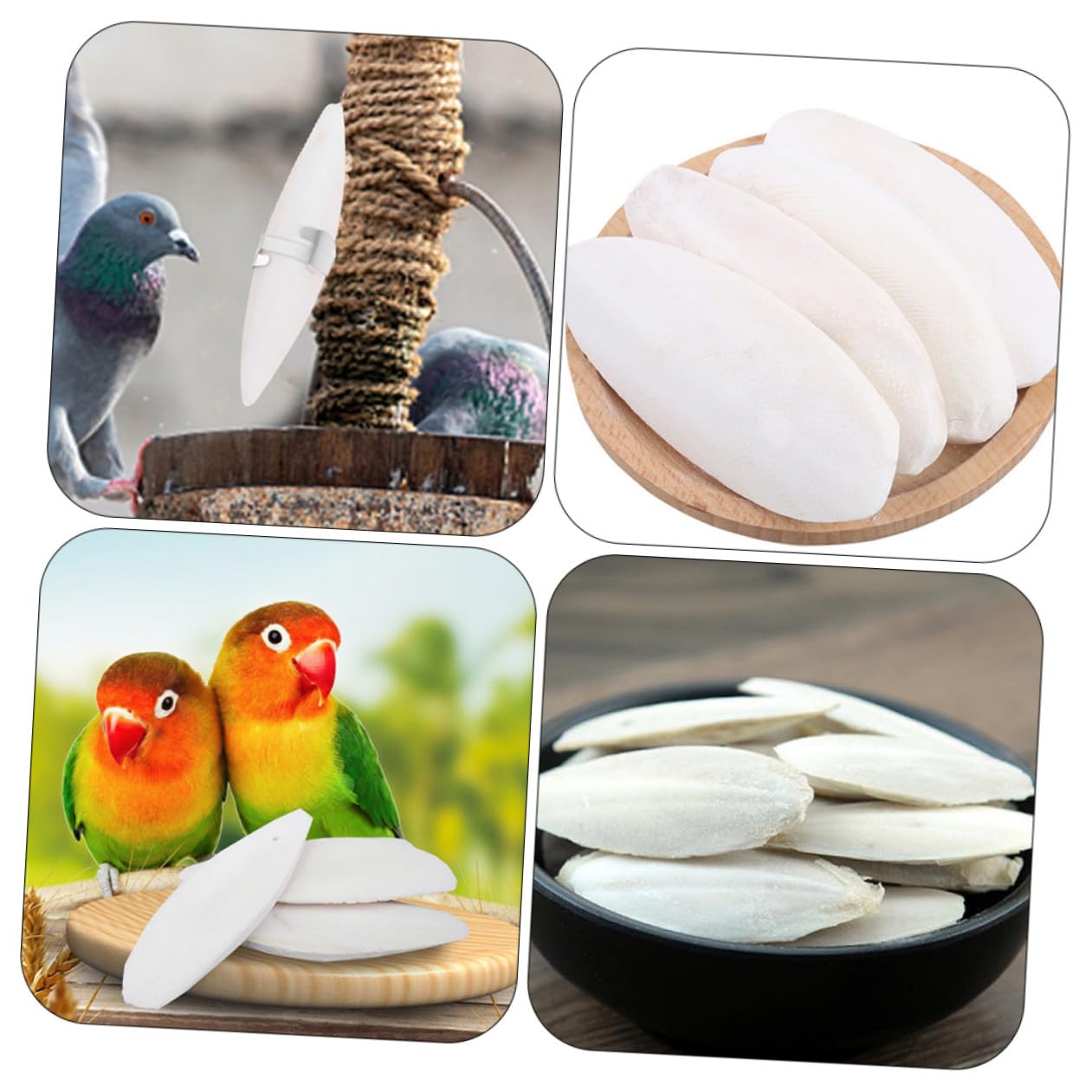 GALPADA 36 Ensembles Lot de Os de Seiche à Mâcher pour Petits Animaux de Grignotage Naturel Calcium avec Support Métallique pour Hamsters Cochons et Oiseaux