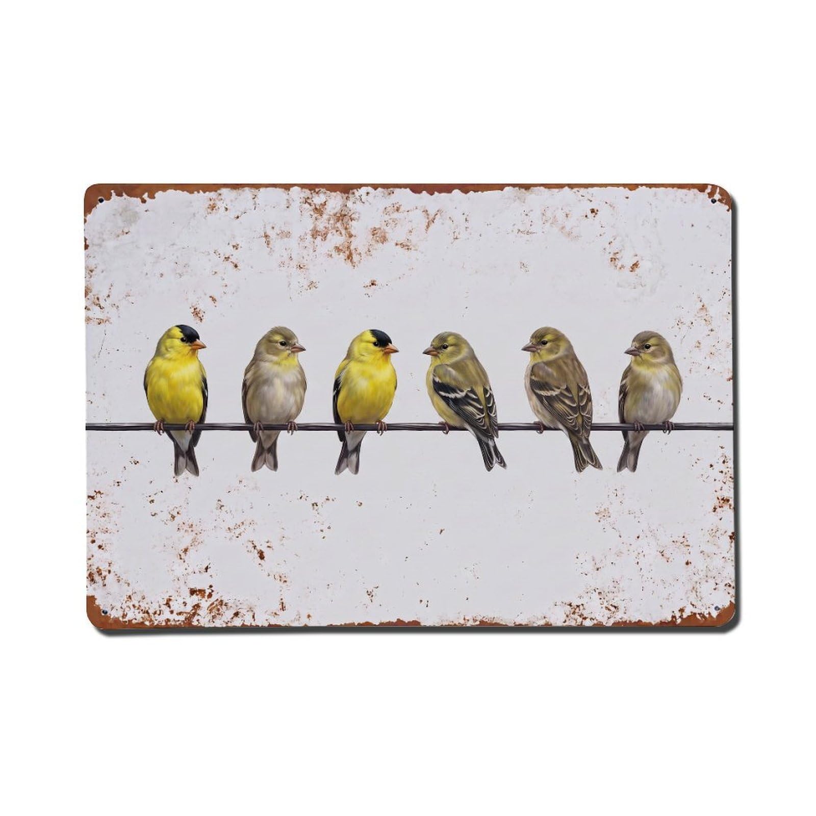 Vintage Retro Birds American Goldfinch Metal Tin Sign