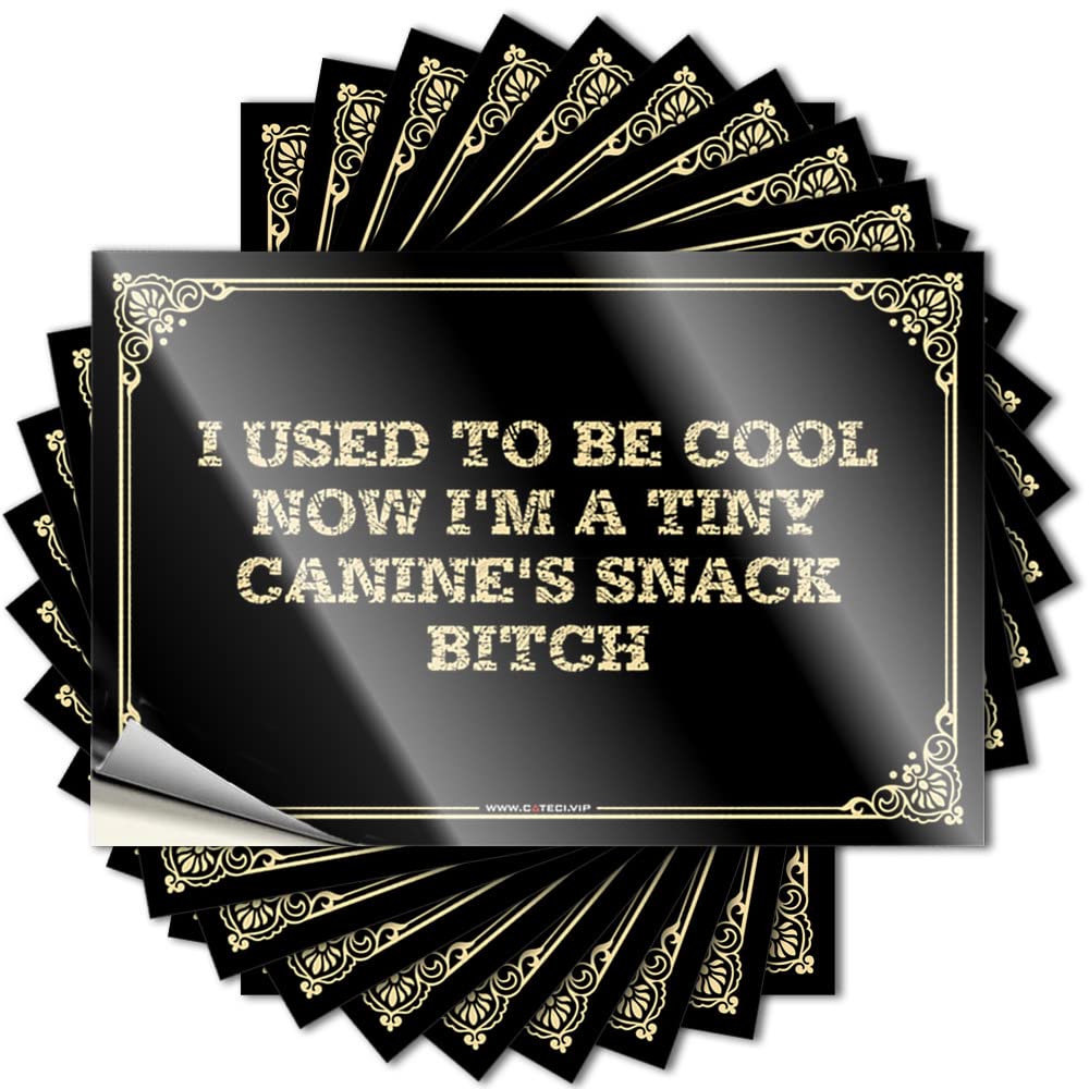 Love, Decal Hat I Used to Be Cool Now I'm A Tiny Canine's Snack Bitch | Christmas Haves(8X12CM)
