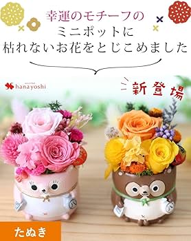 Amazon|花由 プリザーブドフラワー 和風 キャラクターペアセット Amazon|花由 プリザーブドフラワー 和風 キャラクターペアセット