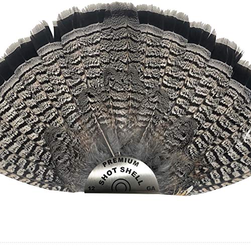 Top 10 Best Shot Size For Pheasant Reviews & Buying Guide Katynel