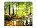 Produktbild Herdabdeckplatte Schneidebrett Spritzschutz aus Glas, Multi-Talent HA96124300 Waldlichtung Natur Variante Einteilig (1 Panel)