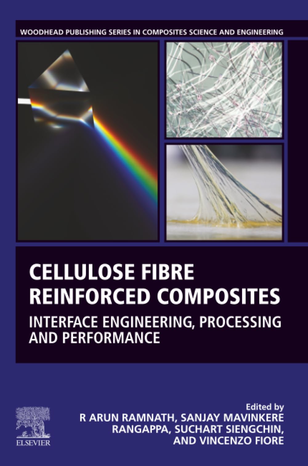 Cellulose Fibre Reinforced Composites: Interface Engineering, Processing and Performance (Woodhead Publishing Series in Composites Science and Engineering)